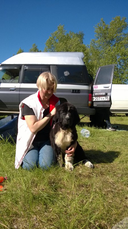 Фото: Акватория Келвин Домино и, Ольга Браславская