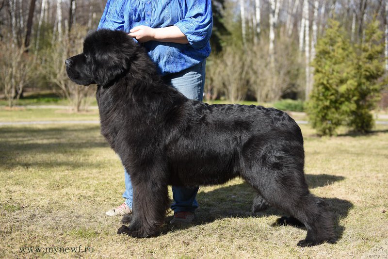 Фотография № 183214