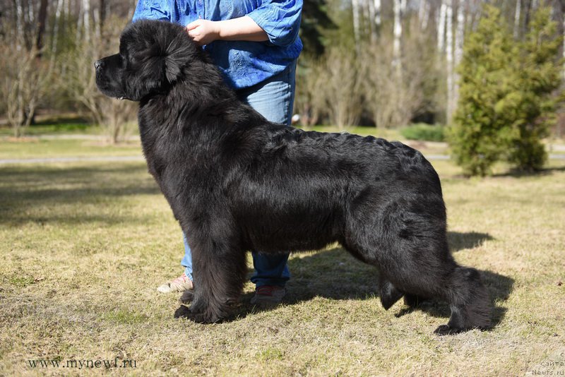 Фотография № 183215