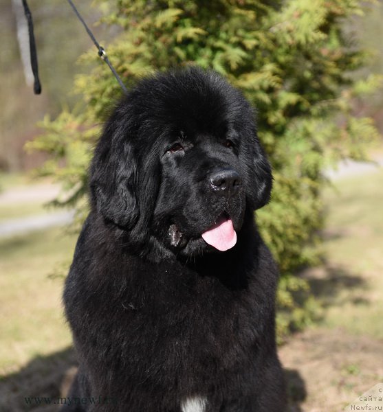 Фотография № 183217