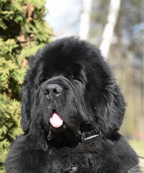 Фотография № 183226