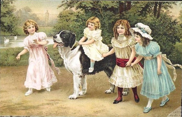 Фотография № 183251