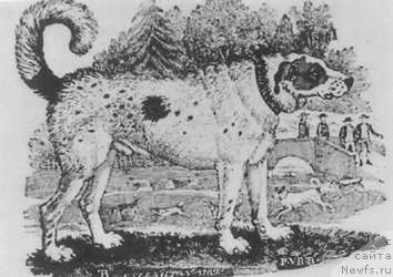 Фотография № 183252