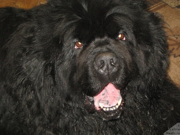 Фотография № 183253