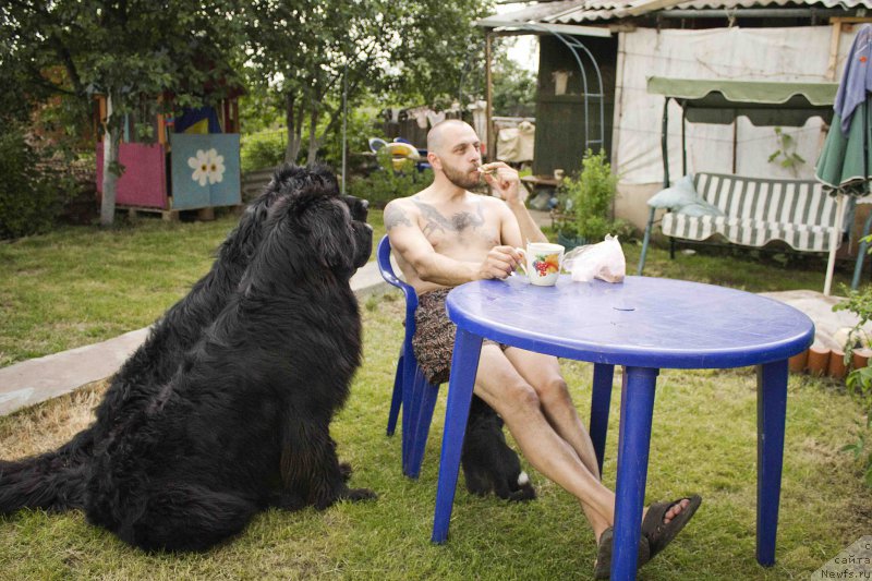 Фотография № 183256