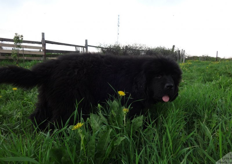 Фотография № 183258