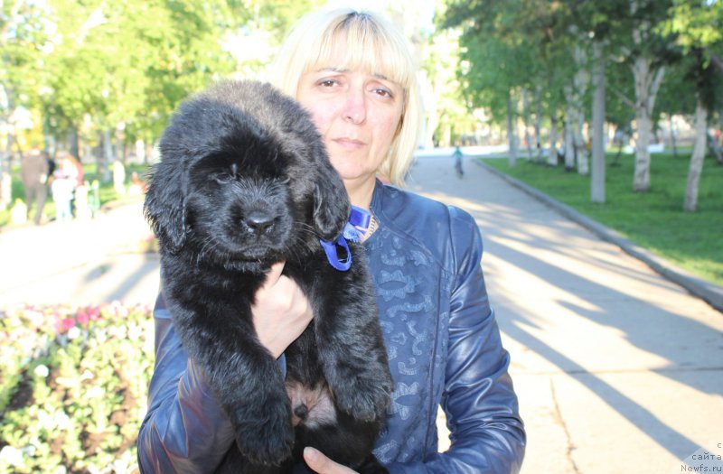 Фотография № 183270