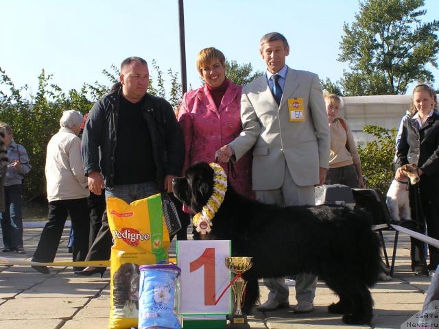 Фотография № 18334