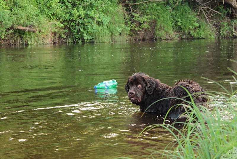 Фотография № 183367