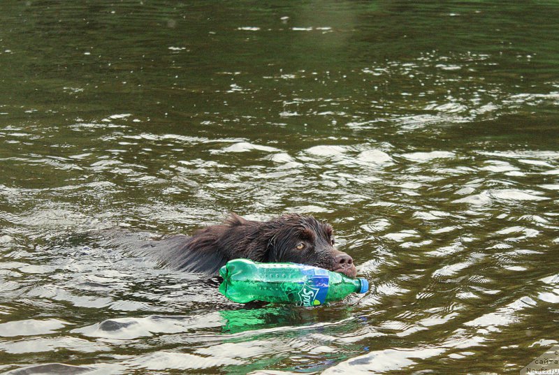 Фотография № 183372