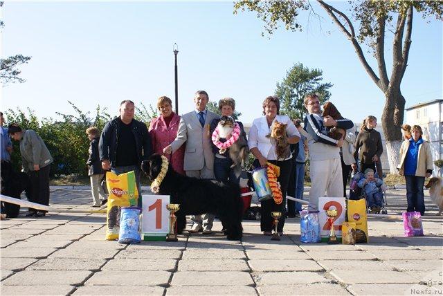 Фотография № 18338