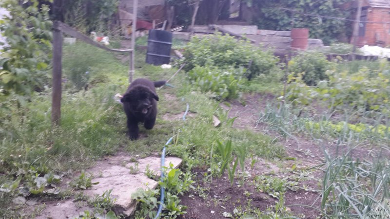 Фотография № 183380