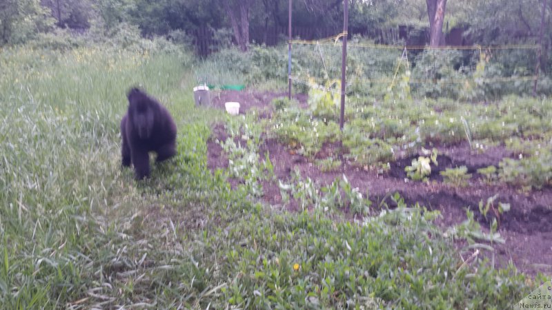 Фотография № 183382