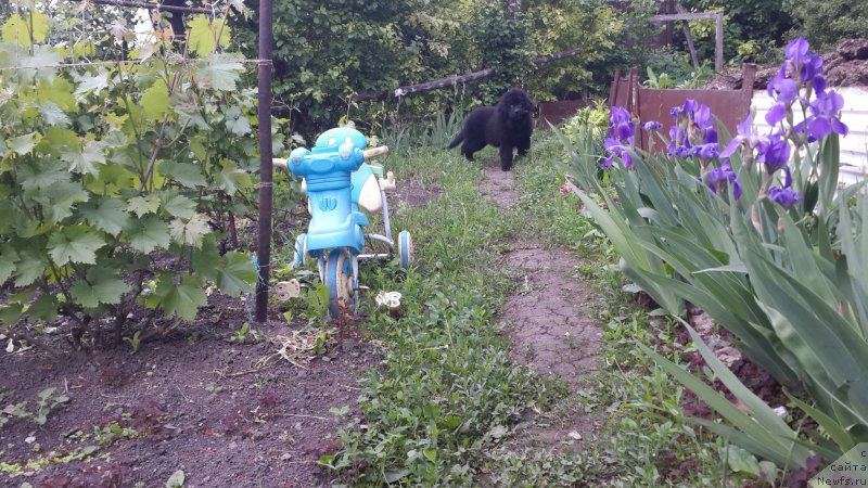 Фотография № 183386