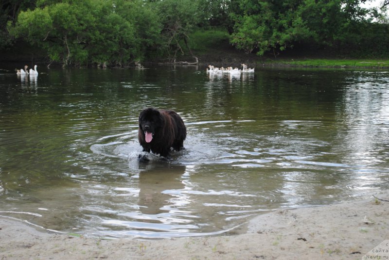 Фотография № 183415