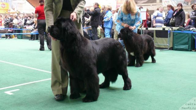 Фотография № 18347