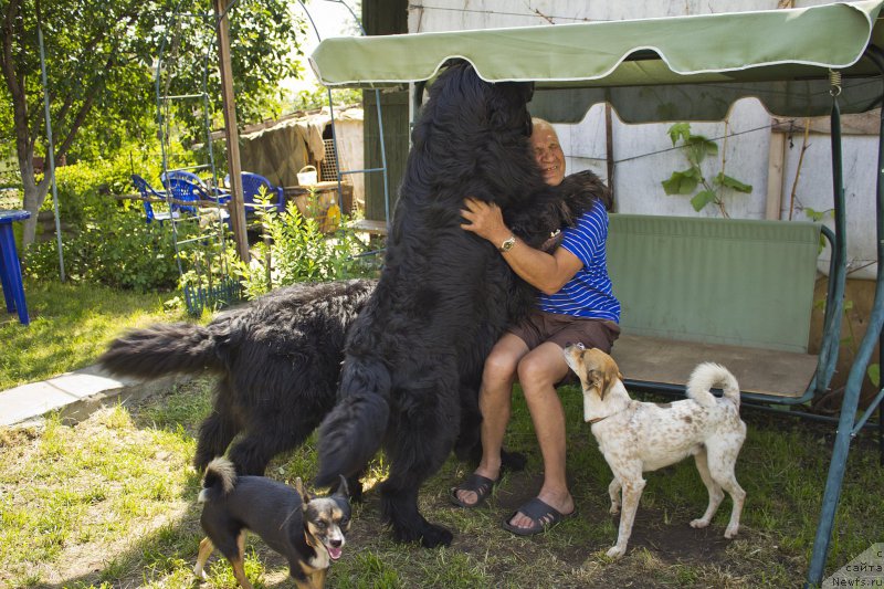 Фотография № 183512