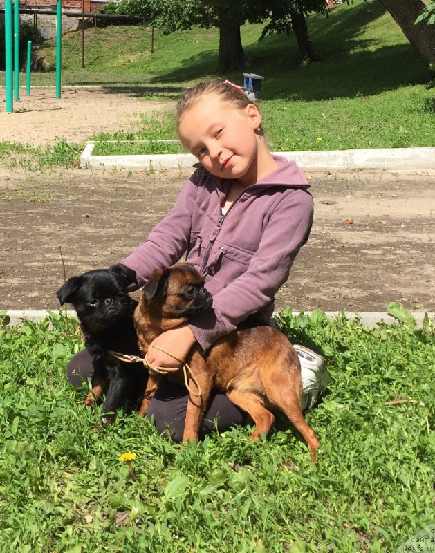 Фотография № 183515