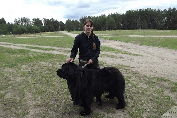 Фотография № 183519