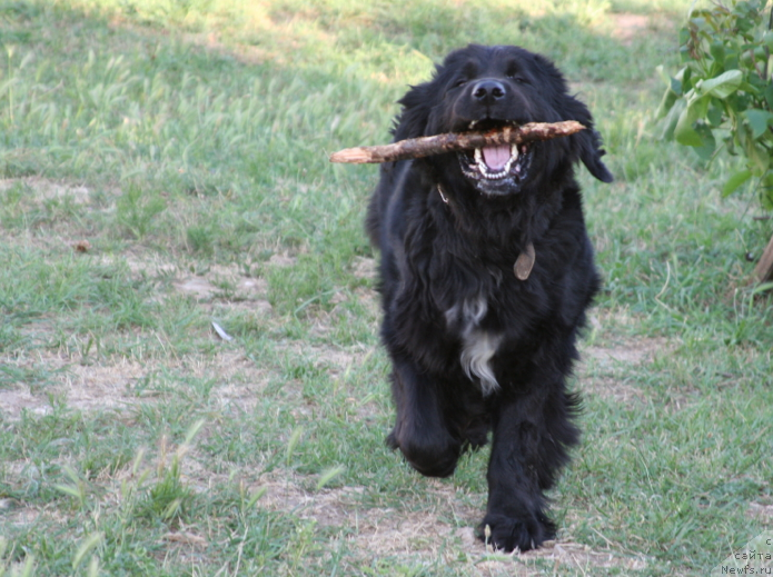 Фотография № 183526