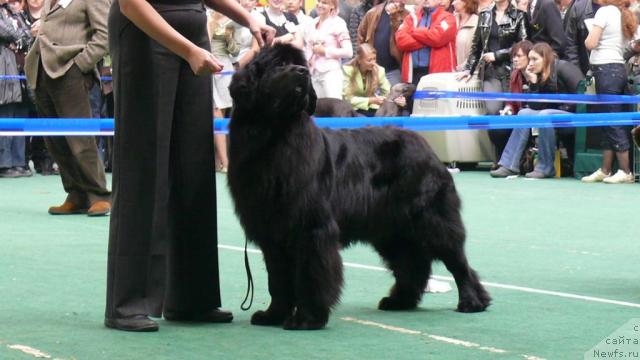 Фотография № 18354