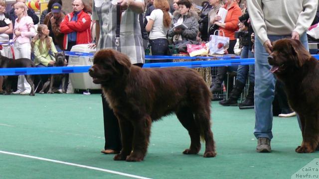 Фотография № 18355