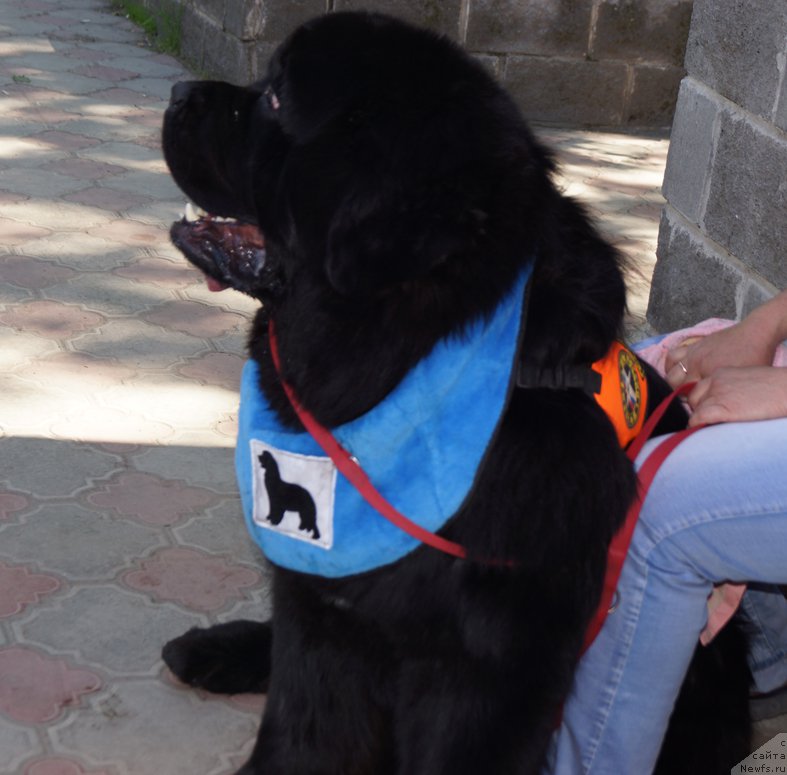 Фотография № 183558