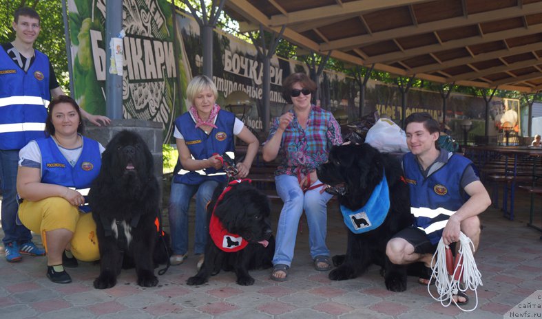 Фотография № 183559