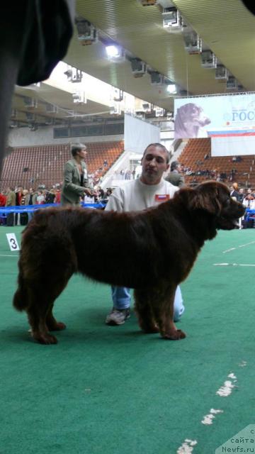 Фотография № 18356