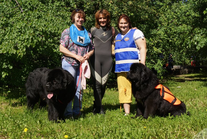 Фотография № 183561