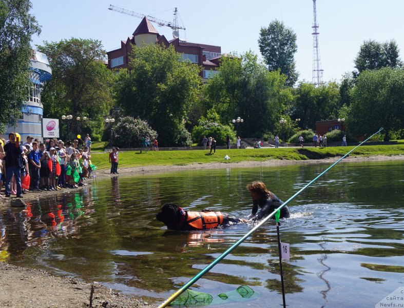 Фотография № 183562