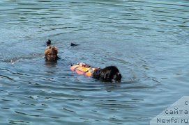 Фотография № 183563