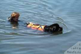 Фотография № 183565