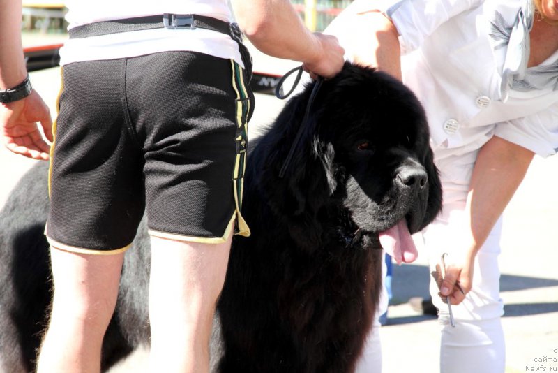 Фотография № 183566