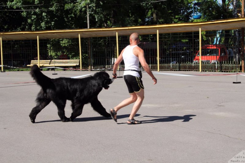 Фотография № 183568