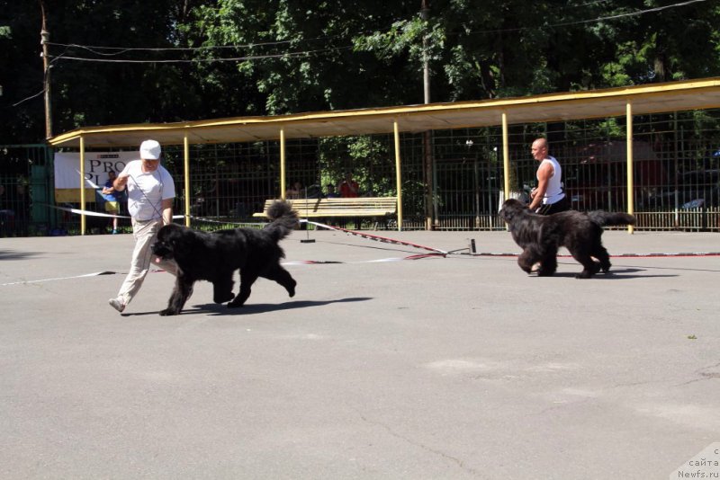 Фотография № 183569