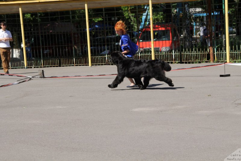 Фотография № 183572