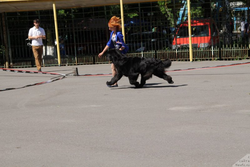 Фотография № 183573