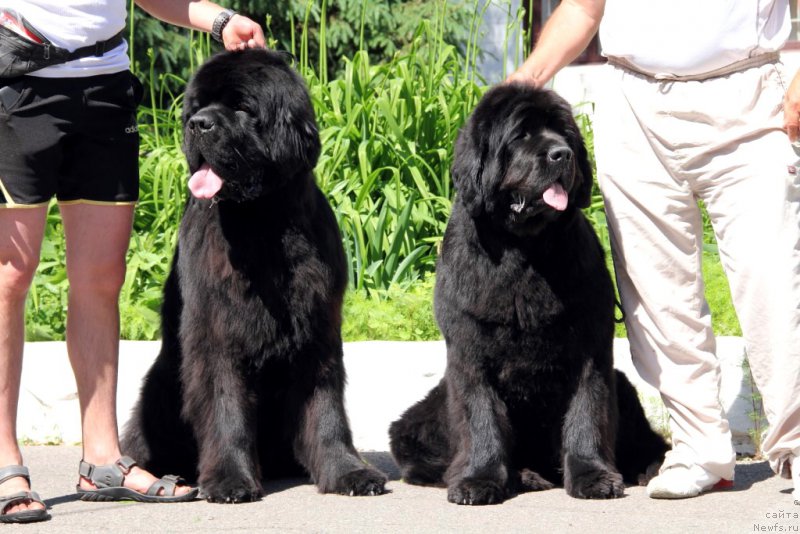 Фотография № 183579