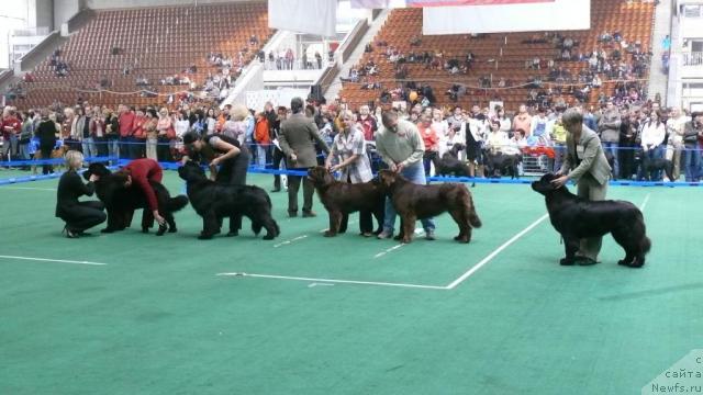 Фотография № 18358