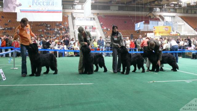 Фотография № 18359