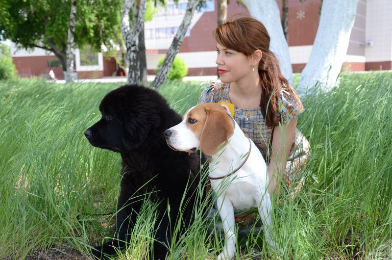 Фотография № 183611