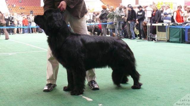 Фотография № 18363