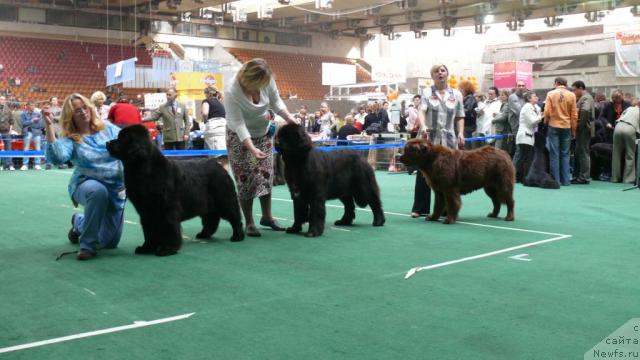 Фотография № 18364