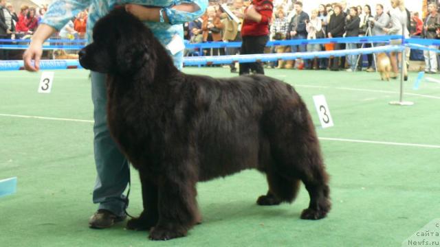 Фотография № 18365