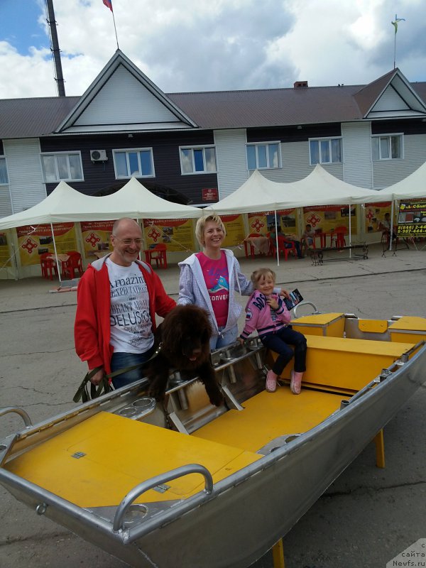 Фото: ньюфаундленд Вересковый Мёд с Берега Дона (Vereskovyj Mjod s Berega Dona)
