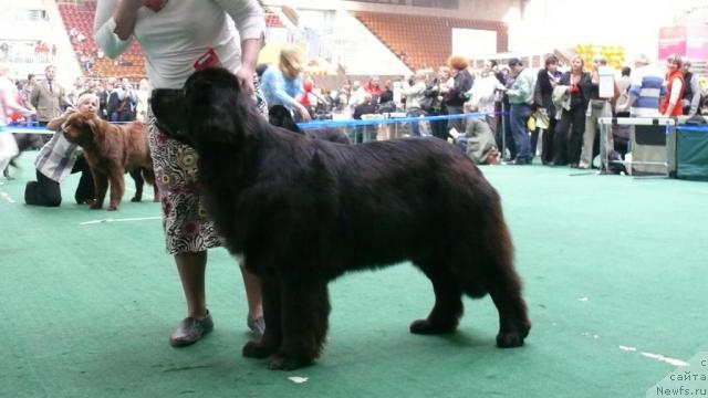 Фотография № 18366