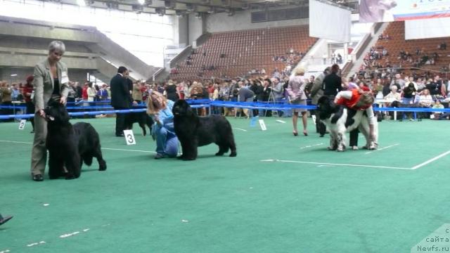 Фотография № 18368