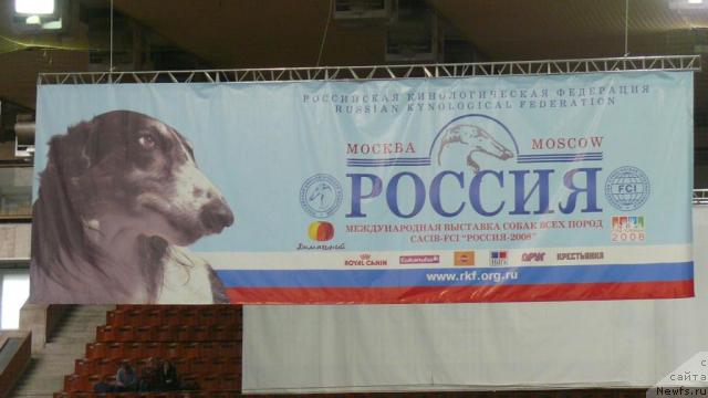 Фотография № 18369