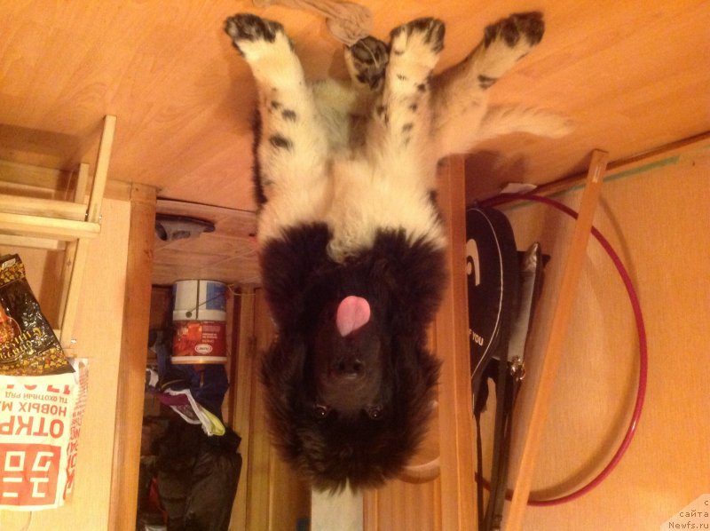 Фото: Анастасия Киселева